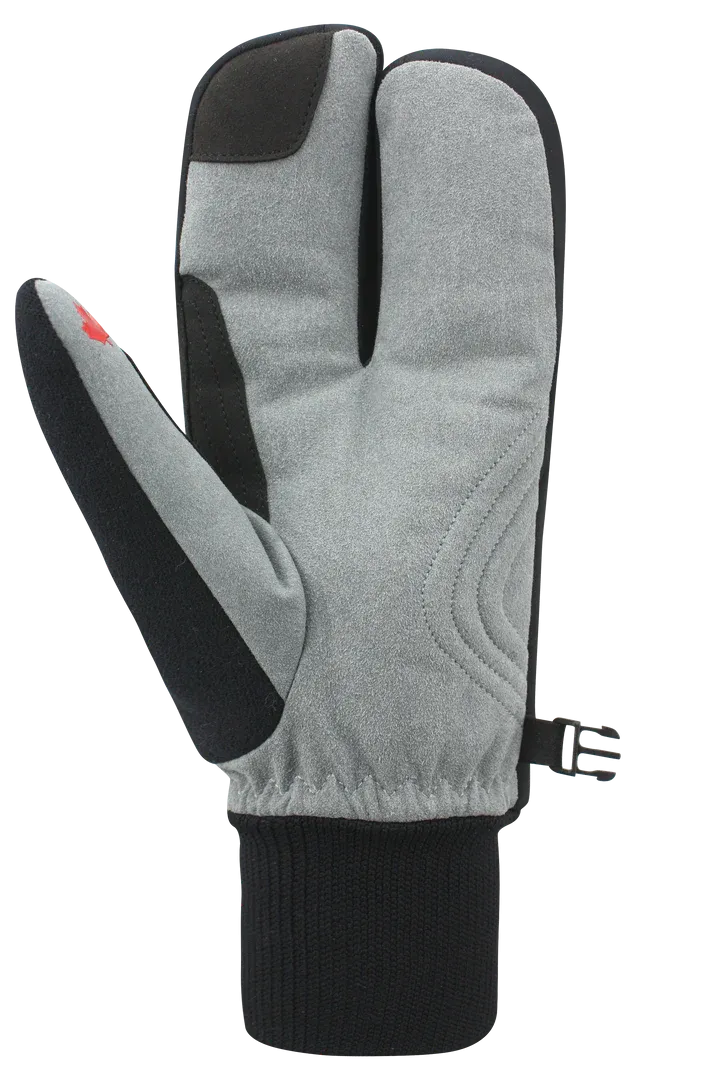 Auclair Blaze 2-Finger Mitts