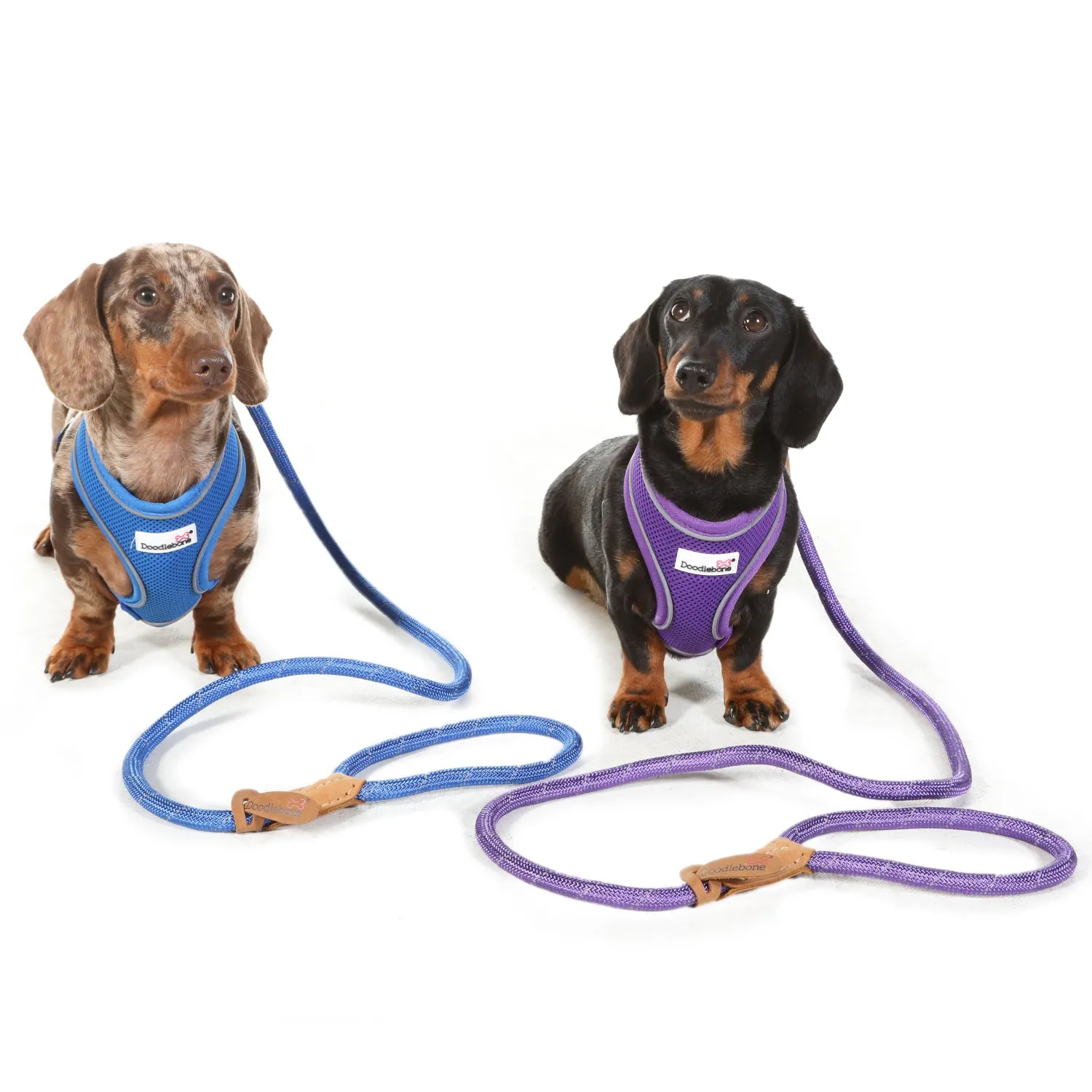 Doodlebone Originals Rope Lead 1.2m Aqua