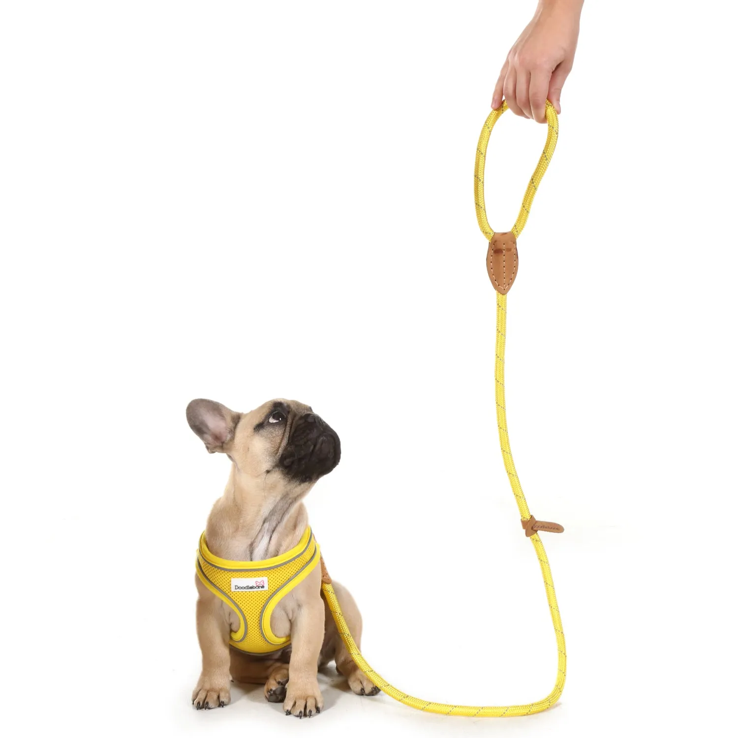 Doodlebone Originals Rope Lead 1.2m Aqua