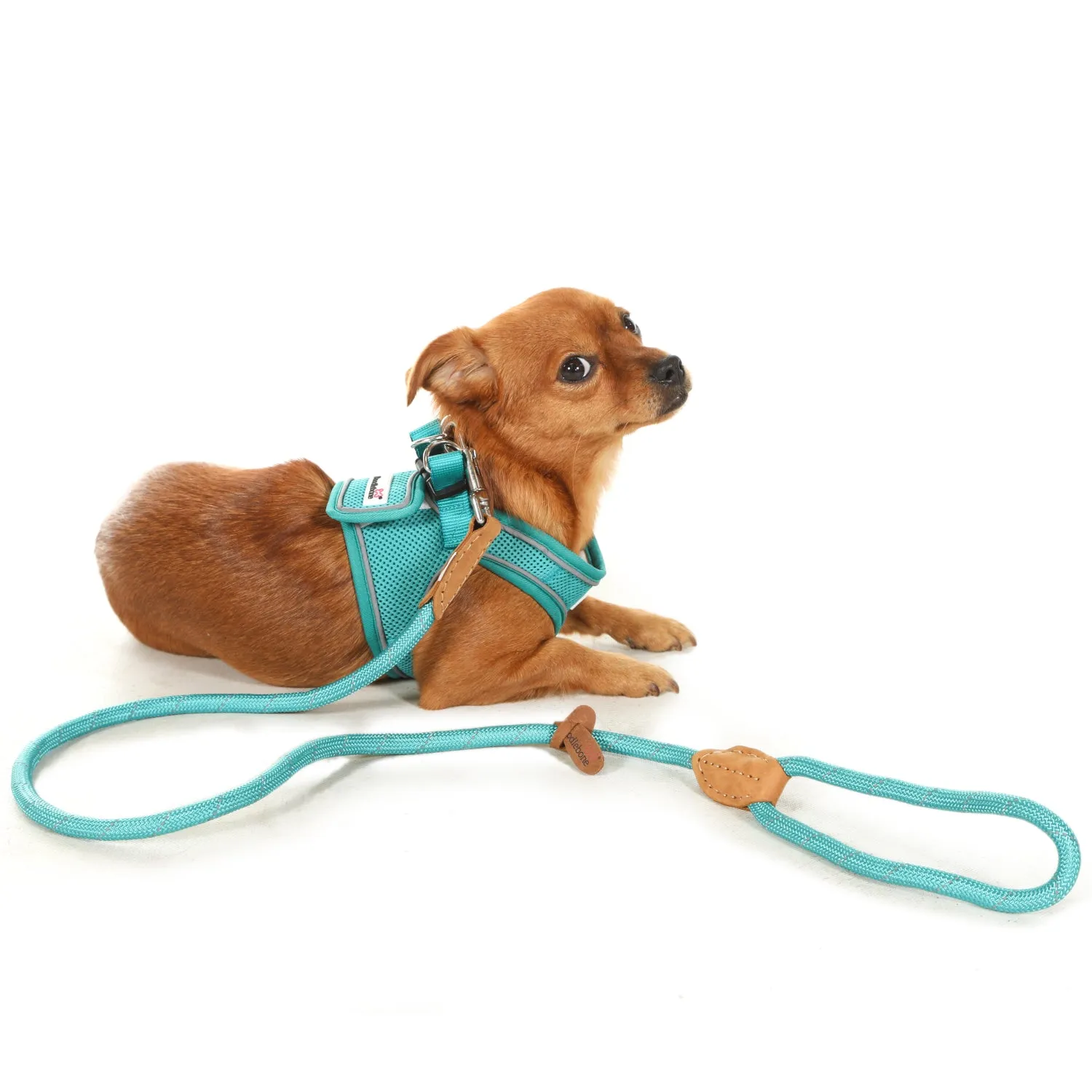 Doodlebone Originals Rope Lead 1.2m Aqua